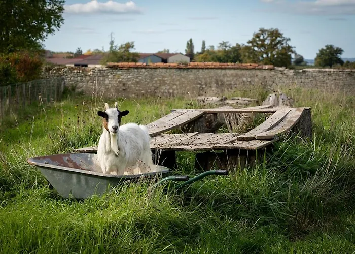 Le Grand Hébergement de vacances *